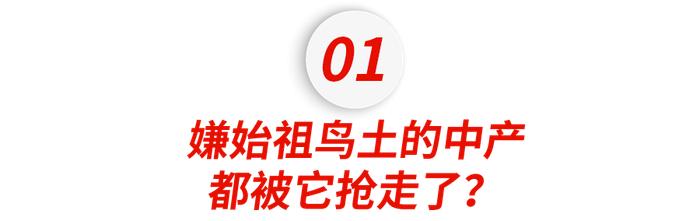 韩国二线牌子被安踏抬咖成「小始祖鸟」？北上广白领快抢疯了