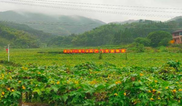 湖南平江：传承红色老区精神 打造绿色发展引擎