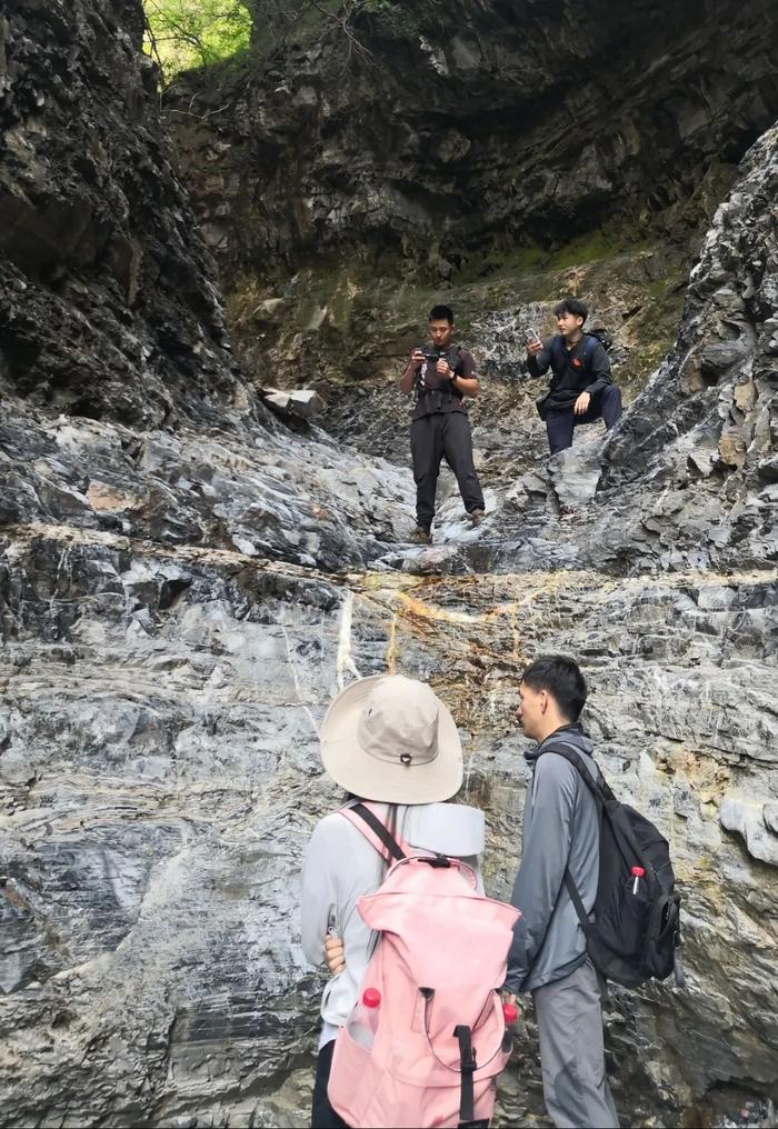 惊喜！房山这个地方被确定为国家Ⅱ级保护植物槭叶铁线莲高密度分布区