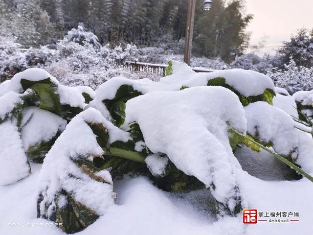 刷屏！福州人在市区能看到雪山！ 网友：雪景房