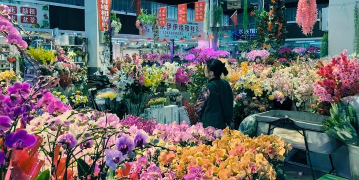 年宵花热销，今年有啥不同？来石景山花卉市场看一看