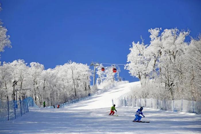 前三批入围数量全国第一！我省又一地入选第三批国家级滑雪旅游度假地