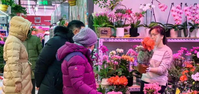 年宵花热销，今年有啥不同？来石景山花卉市场看一看