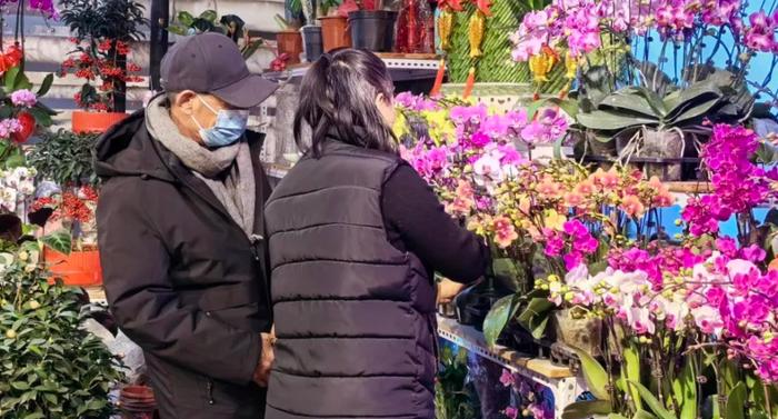 年宵花热销，今年有啥不同？来石景山花卉市场看一看