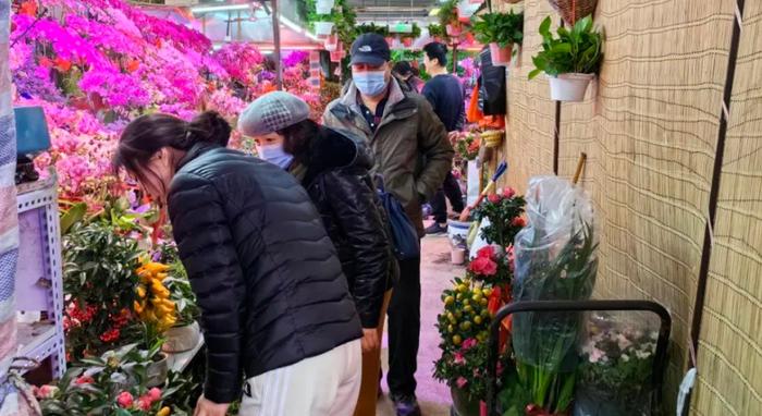 年宵花热销，今年有啥不同？来石景山花卉市场看一看