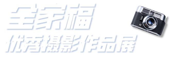 【探索】优秀摄影展开幕，免费参观！人民广场这一网红打卡点浓浓年味→