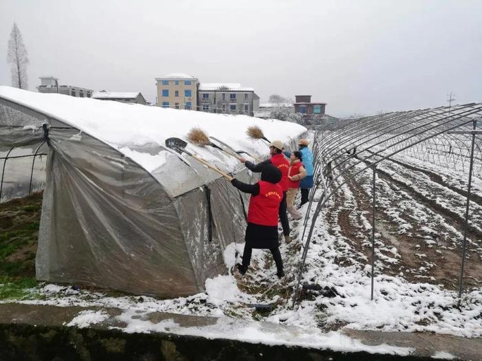 让寒潮变“暖流”！冰天雪地里的这群“志愿红”很暖~