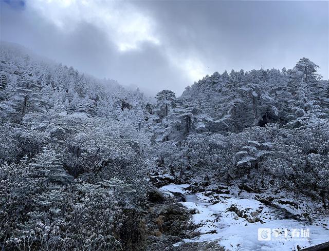 轿子雪山景区滑雪场正式开业！内附攻略→