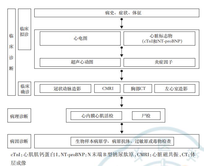 新指南出炉！中国成人暴发性心肌炎的诊疗，一文速览