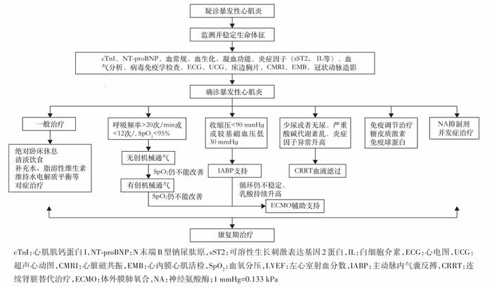 新指南出炉！中国成人暴发性心肌炎的诊疗，一文速览