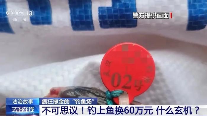 事件丨一条鱼60万元？86人垂钓现场被抓！