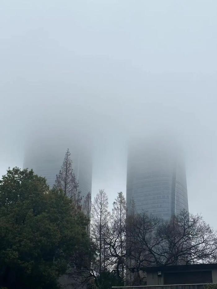 上海明天有雾有雨有雷电！周日天气更复杂→