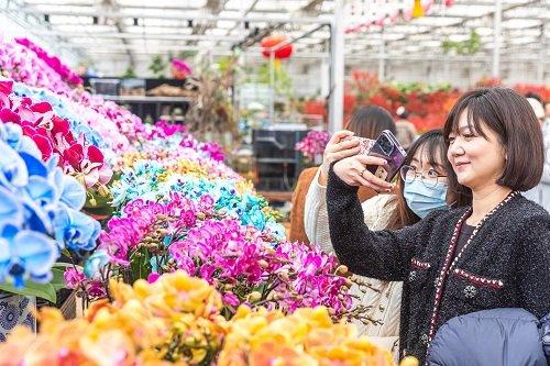 七大花卉市场集中连片上新 打造丰台花卉金名片