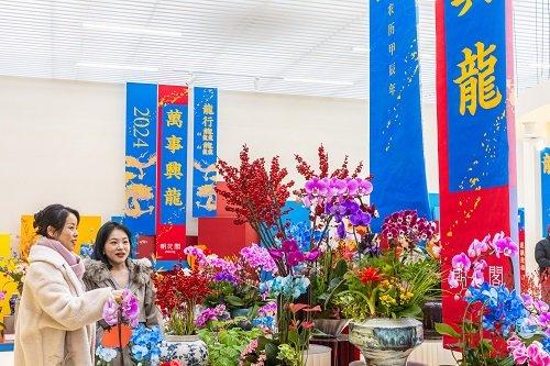 七大花卉市场集中连片上新 打造丰台花卉金名片