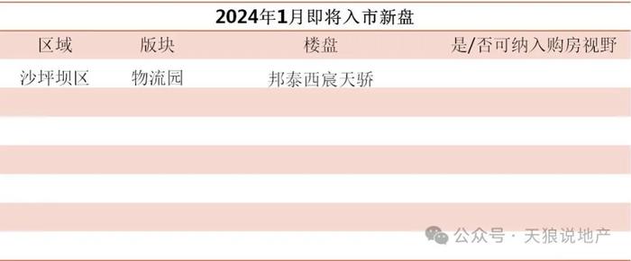 2024年重庆楼市1月入市纯新盘