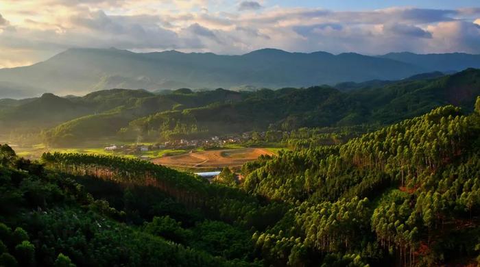 春节去哪儿？佛山各景区最全指南→