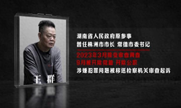 湖南本土厅官王群案：妻子游走政商界，涉案亲属留置数创纪录