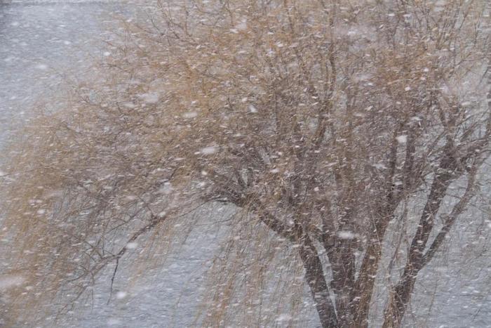 局部-16℃以下+大暴雪+18厘米雪！山东的雪，一定会下的！咱青岛，周日还有雪，对，得上班