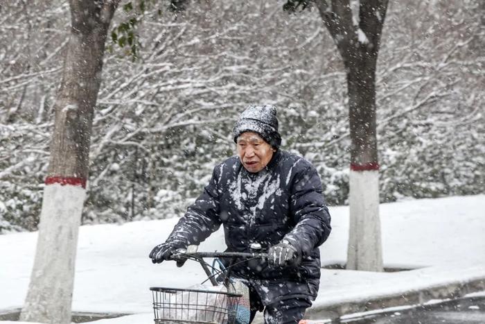 重要预报！青岛的大雪、暴雪…明天到！这两个地方扛下了暴雪！最大积雪16厘米，最低温​-11℃
