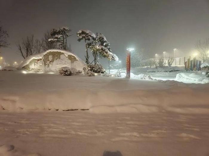 重要预报！青岛的大雪、暴雪…明天到！这两个地方扛下了暴雪！最大积雪16厘米，最低温​-11℃