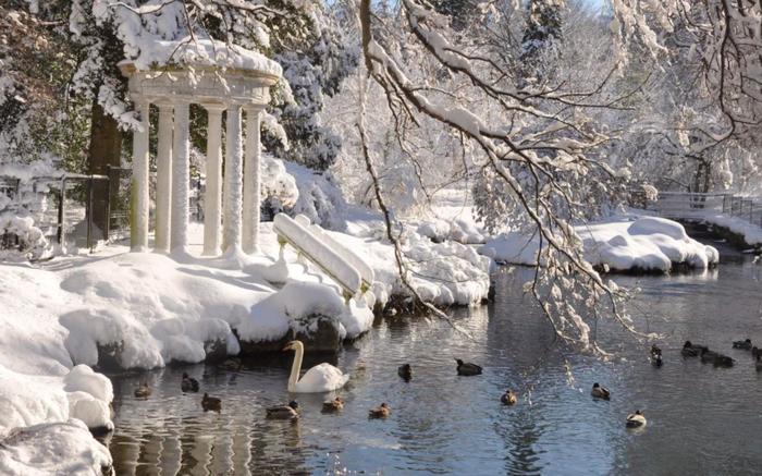 到植物园、历史古迹和花园溜冰场感受费城冬季浪漫