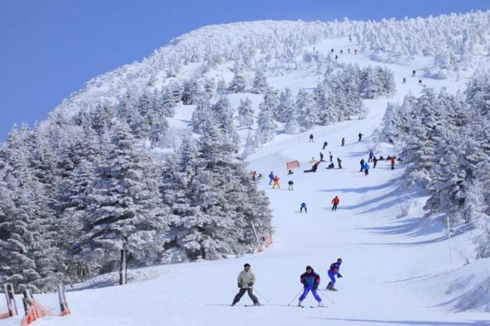 日本入境游恢复至疫情前八成，滑雪季下如何玩转冰雪生意经？