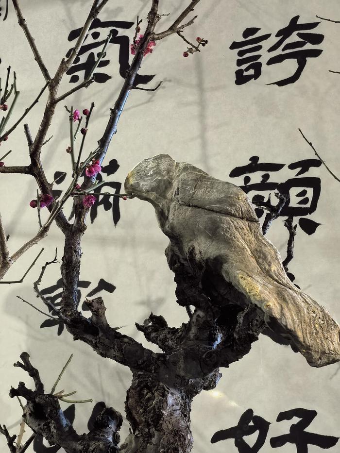 首届“喜梅乐见 ”梅花蜡梅石尚文化室内展将在北京园博园奇石园举办