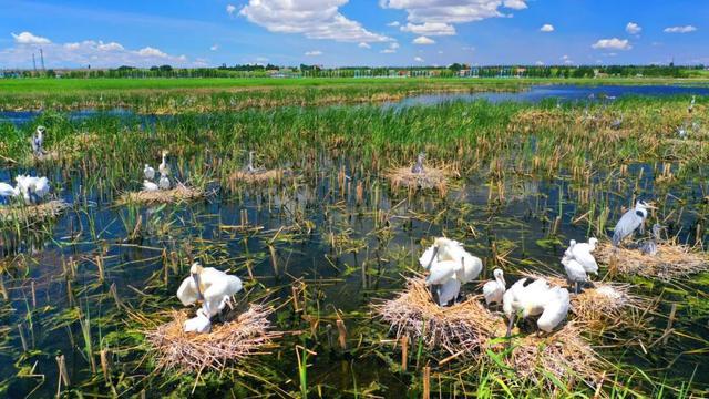 重磅喜讯！查干湖景区确定为国家5A级旅游景区！