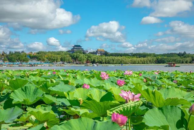 重磅喜讯！查干湖景区确定为国家5A级旅游景区！