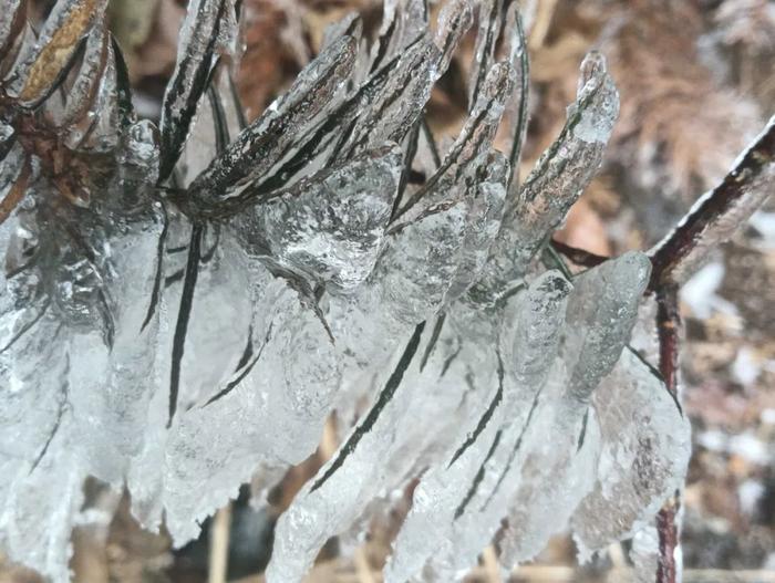 局部大雪！江西多地要下雪！接下来天气……