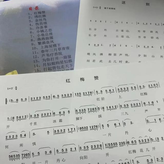 制作沪剧唱段数字乐谱，上海一中学学生让寒假生活“唱”着过