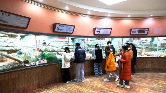 【探索】2024年上海动物园龙年生肖文化系列活动热闹登场！快来看看你想参加哪一项？