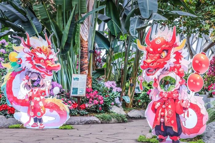 辰山植物园2024迎春花展来了！龙年惊喜不断，此类人群还能免门票