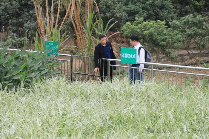 农村生活污水治理如何破局？这样打造“茂名样板” →