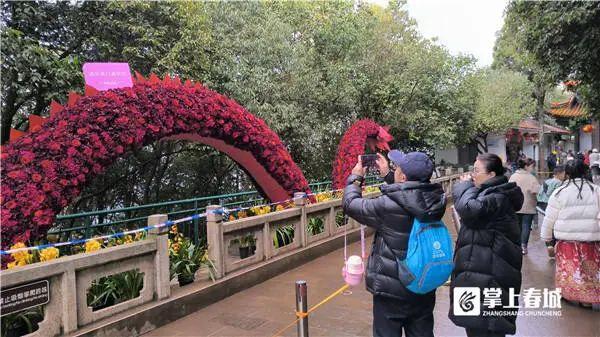 超万人打卡！昆明这条龙太火了！官方紧急提醒