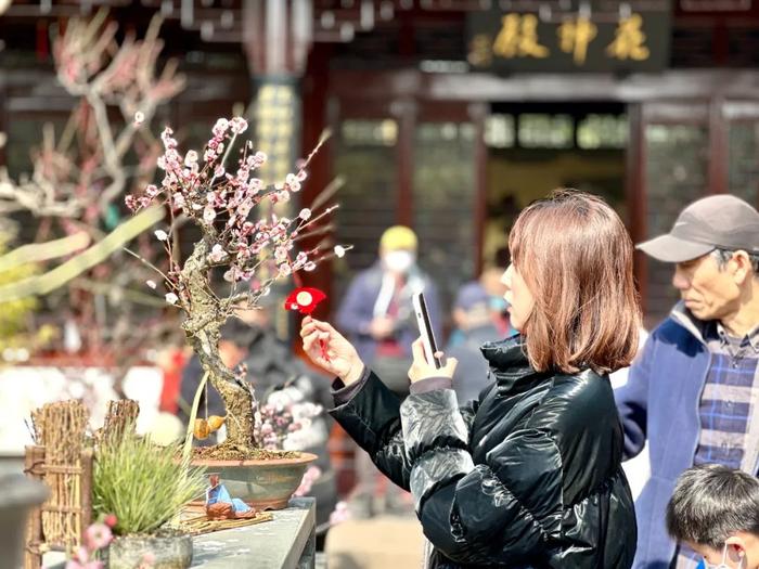 龙出没，花神戳......上海这座500多岁的古典园林天天游客过万