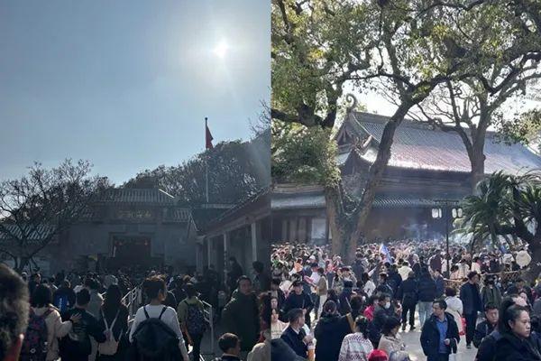 微博网友发布的普陀山出行照片。图片来源:@走鱼3