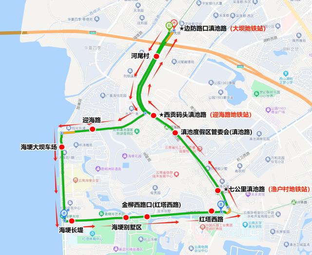 @自驾游客 在昆明观鸥不想被堵 看这里→