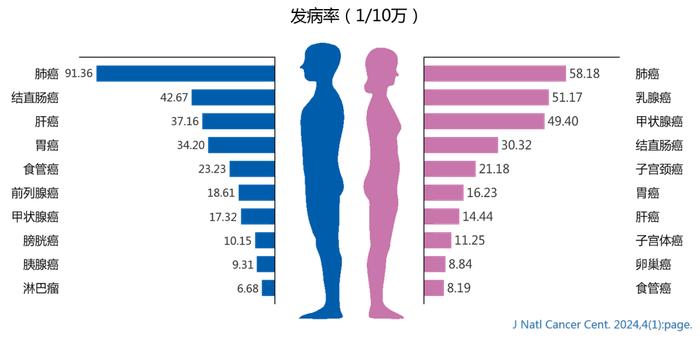 图2 中国男女性前十位恶性肿瘤发病率及顺位