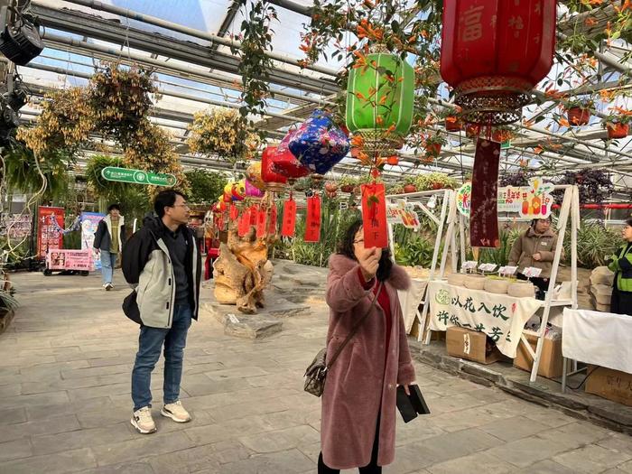 花开富贵庆新春 市民在世界花卉大观园赏花祈福过大年