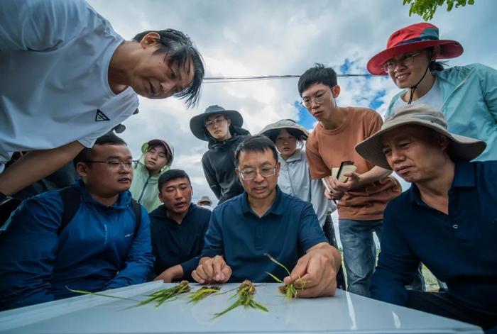 多校官宣，专业硕士学制延长为哪般？