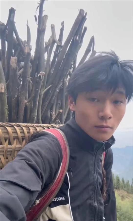 付天在背柴