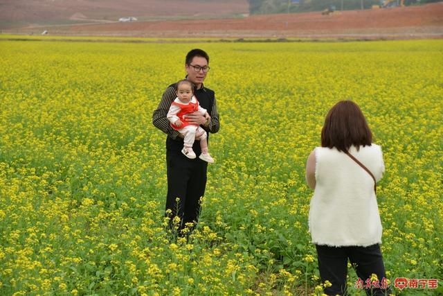 快来打卡！这里的油菜花海美如画