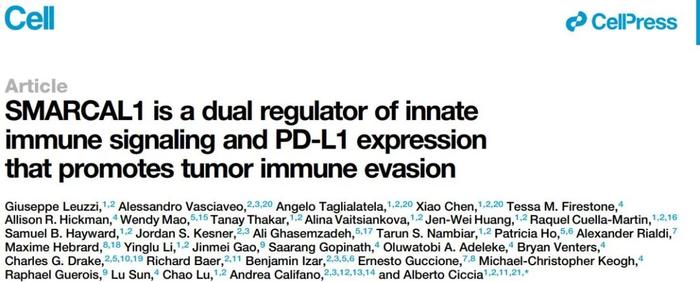 前沿 |《细胞》：癌细胞这下彻底藏不住了！肿瘤躲避免疫系统的“双保险”被破解
