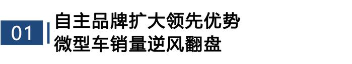 2024年1月TOP30轿车销量投诉量对应点评