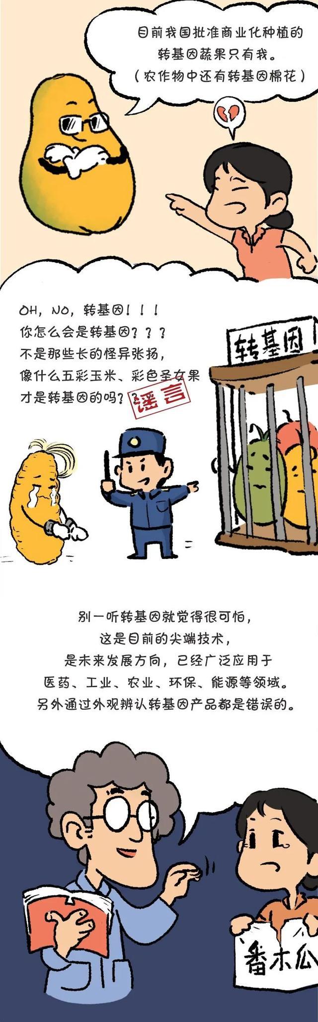 漫画｜“百果之王”番木瓜存亡简史