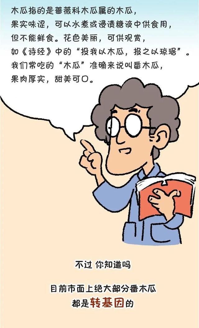 漫画｜“百果之王”番木瓜存亡简史