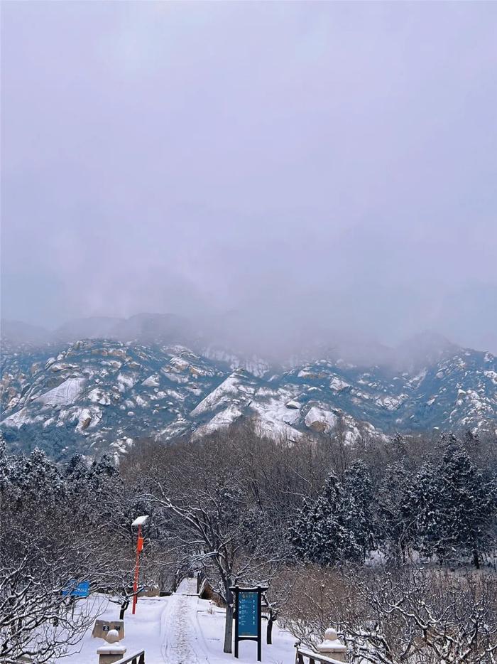 一场雪后，凤凰岭就成了仙境