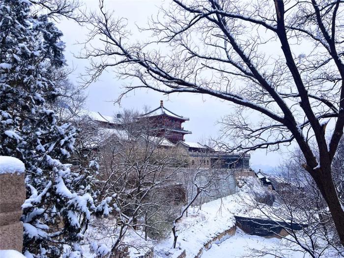 一场雪后，凤凰岭就成了仙境