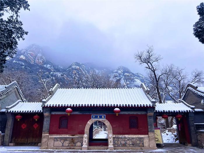 一场雪后，凤凰岭就成了仙境